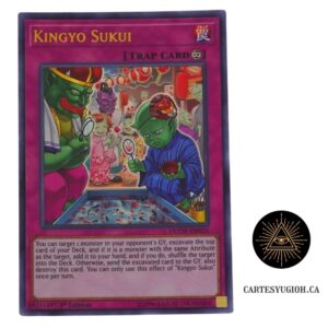 Kingyo Sukui