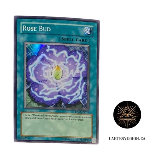 Rose Bud